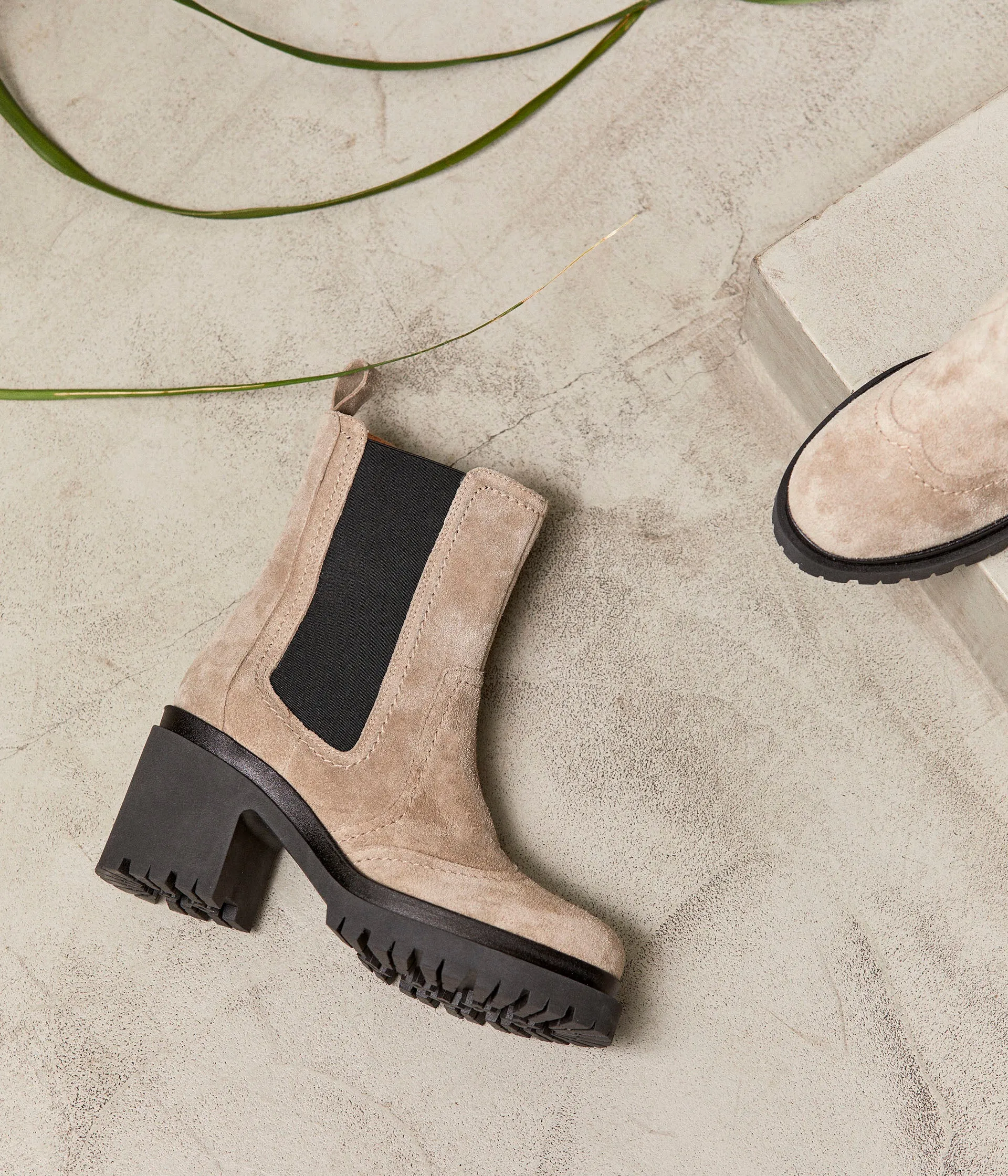 Chelsea boots taupe Liliane