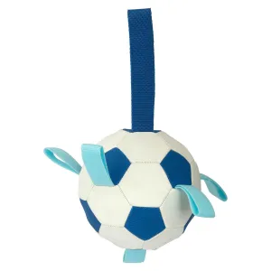 Lexi & Me Soccer Ball with Tags Dog Toy Blue/White