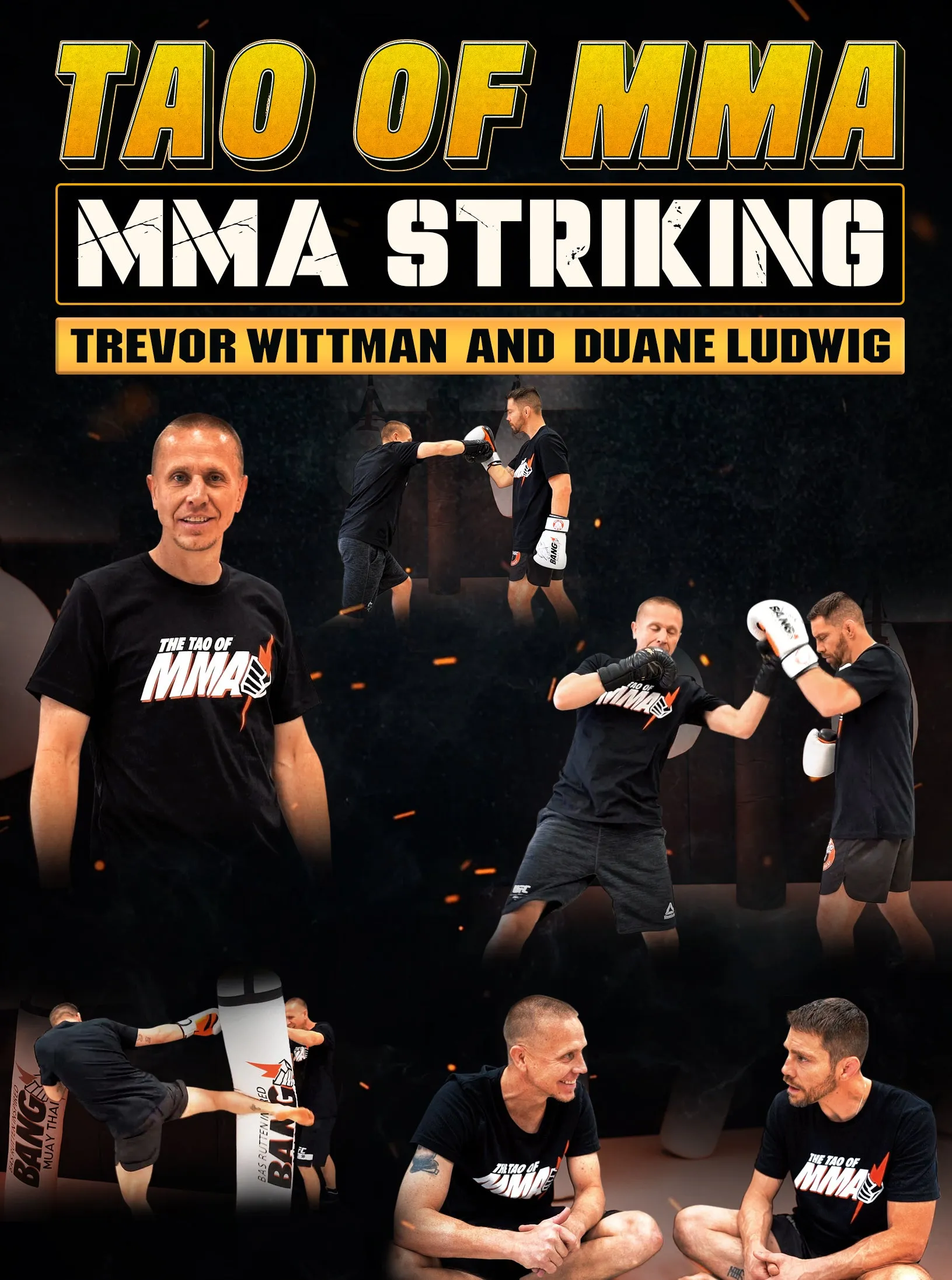 Tao of MMA: MMA Striking by Trevor Wittman and Duane Ludwig